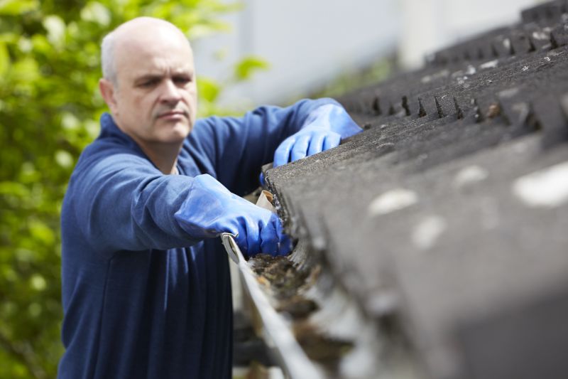 Clean Gutters with Professional Equipment