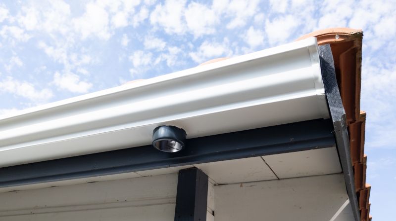 Gutter and Roof Line