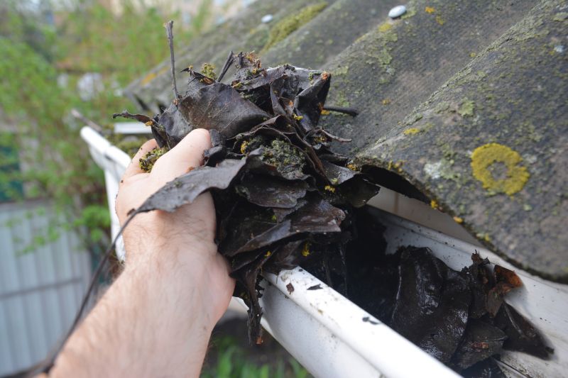 Clean Gutter System